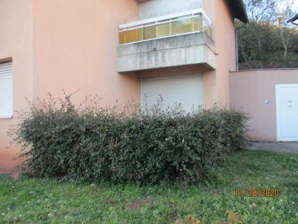 LOCATION T1BIS RODEZ SANS FRAIS D'AGENCE