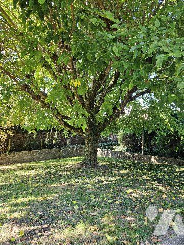 Maison Individuelle BRESSUIRE