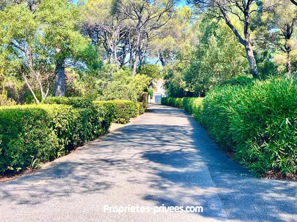 Studio lumineux au coeur d'une pinède avec échappées mer et plage à pied