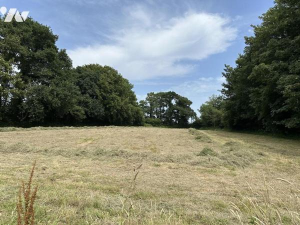 DEUX MAISONS A VASTEVILLE