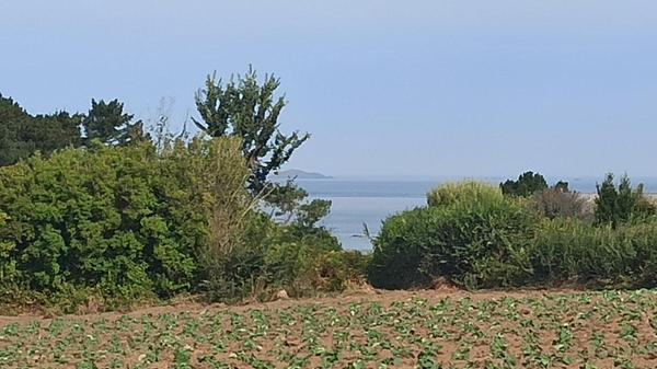 Maison traditionnelle à 800m de la mer.