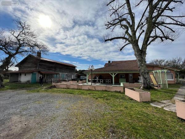 Immeuble à vendre à Bias dans les Landes (40170), ref : 1006569
