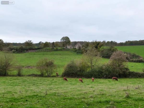 Achat - Maison | Maison rurale Luché-Pringé 72800 3 pièces 86 m 2 6000 m 2