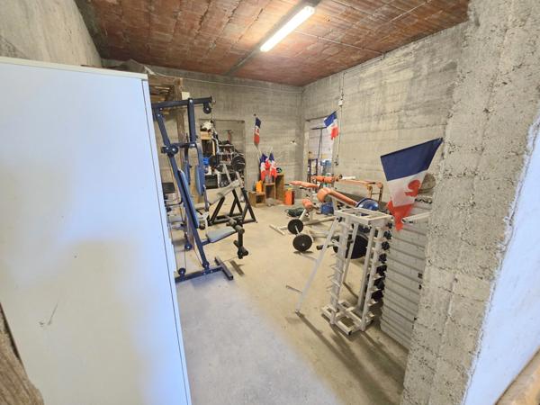 Beaumont-de-Lomagne : maison 113 m², trois chambres + appartement + entrepôt 206 m² + local 62 m², patio, jardin - toute commodités à pied !