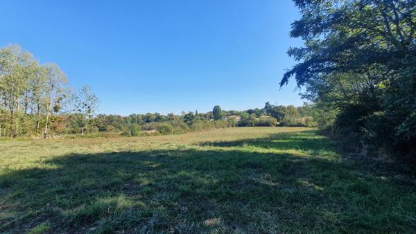 MAISON 4 Chambres sur 1 Hectare MAISON 4 Chambres sur 1 Hectare