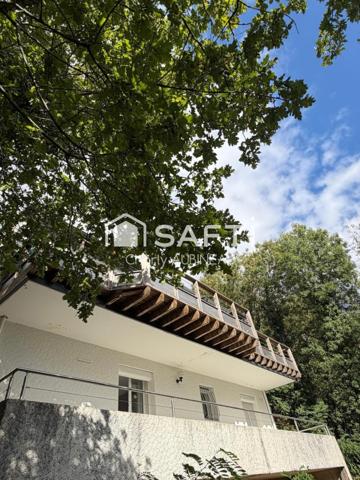 Maison Atypique avec jardin bord de sèvre à Niort !