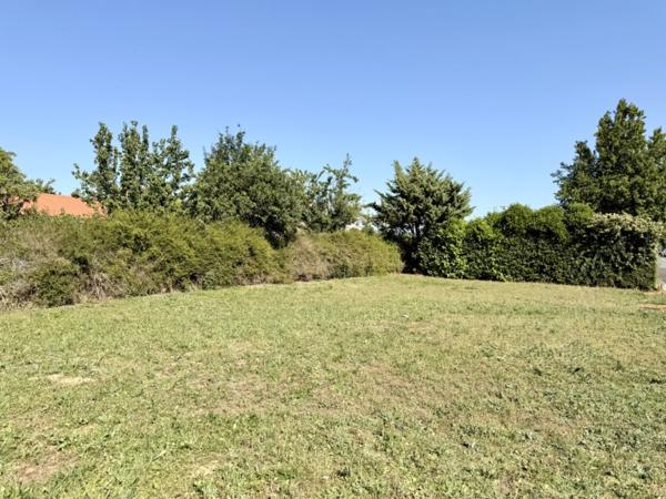Terrain