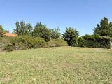 Terrain