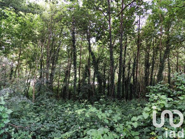 Terrain à vendre 3 100 m² Saint-Jacut-les-Pins