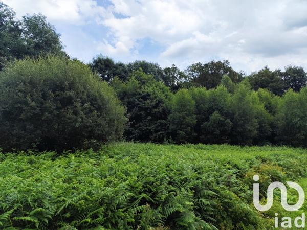 Terrain à vendre 3 100 m² Saint-Jacut-les-Pins