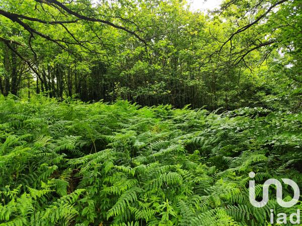 Terrain à vendre 3 100 m² Saint-Jacut-les-Pins