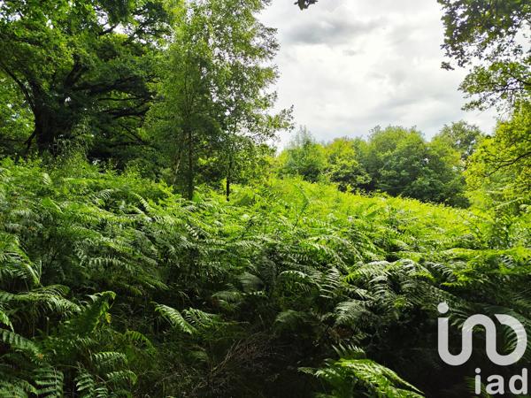 Terrain à vendre 3 100 m² Saint-Jacut-les-Pins