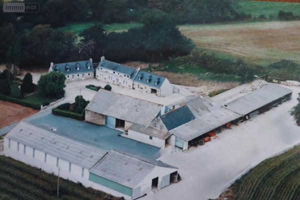 Maison à vendre à Pluguffan dans le Finistère (29700), ref : 29015-493