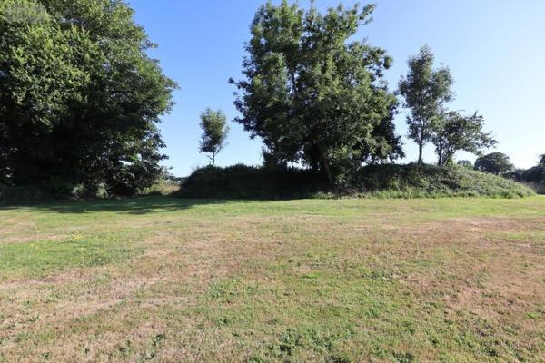 Maison à vendre à Pluguffan dans le Finistère (29700), ref : 29015-493