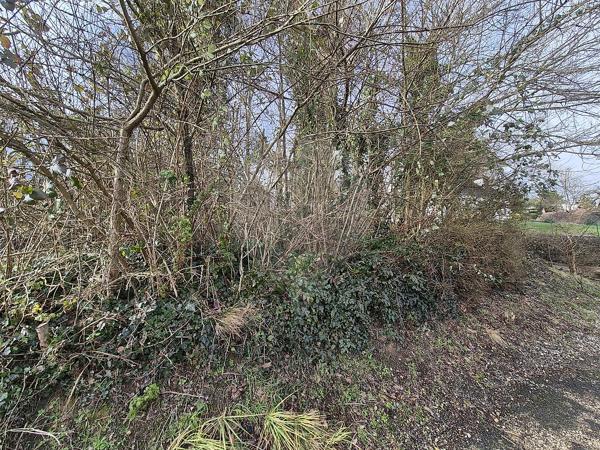 Terrain  en vente - Seine-et-Marne - 77