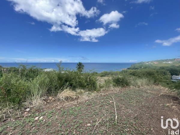 Terrain à vendre 1 039 m² Vieux-Habitants