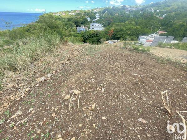 Terrain à vendre 1 039 m² Vieux-Habitants