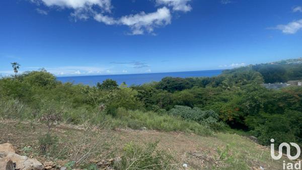 Terrain à vendre 1 039 m² Vieux-Habitants