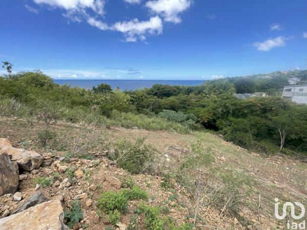 Terrain à vendre 1 039 m² Vieux-Habitants