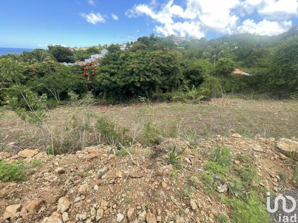 Terrain à vendre 1 039 m² Vieux-Habitants