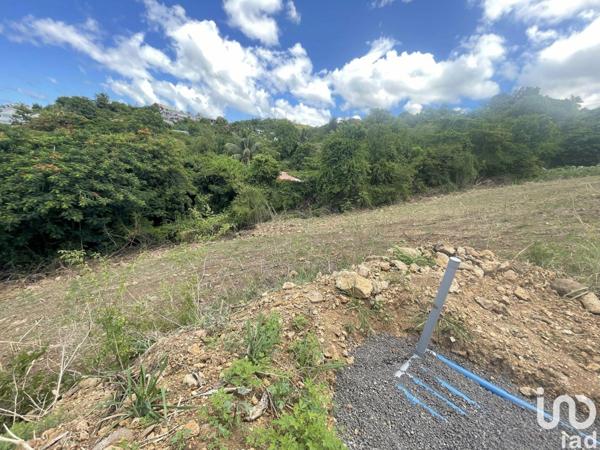 Terrain à vendre 1 039 m² Vieux-Habitants