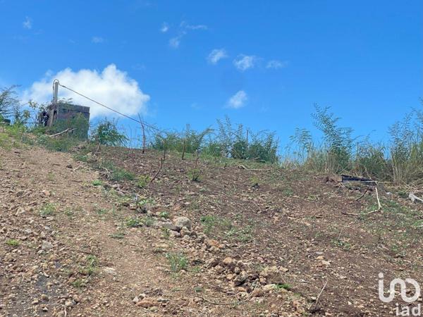 Terrain à vendre 1 039 m² Vieux-Habitants