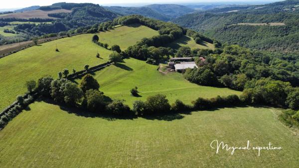 Montredon-Labessonnié (81360) Ferme authentique de 51 hectares au cœur de la nature (Tarn 81)