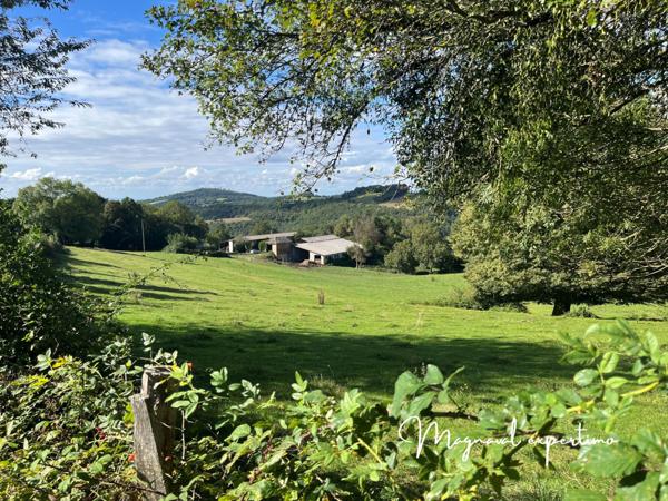 Montredon-Labessonnié (81360) Ferme authentique de 51 hectares au cœur de la nature (Tarn 81)