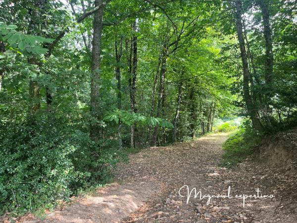 Montredon-Labessonnié (81360) Ferme authentique de 51 hectares au cœur de la nature (Tarn 81)