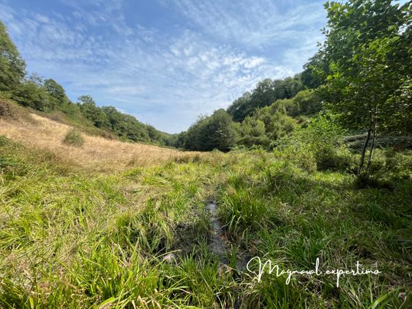 Montredon-Labessonnié (81360) Ferme authentique de 51 hectares au cœur de la nature (Tarn 81)