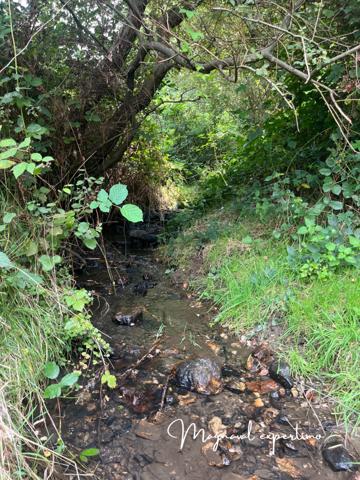 Montredon-Labessonnié (81360) Ferme authentique de 51 hectares au cœur de la nature (Tarn 81)