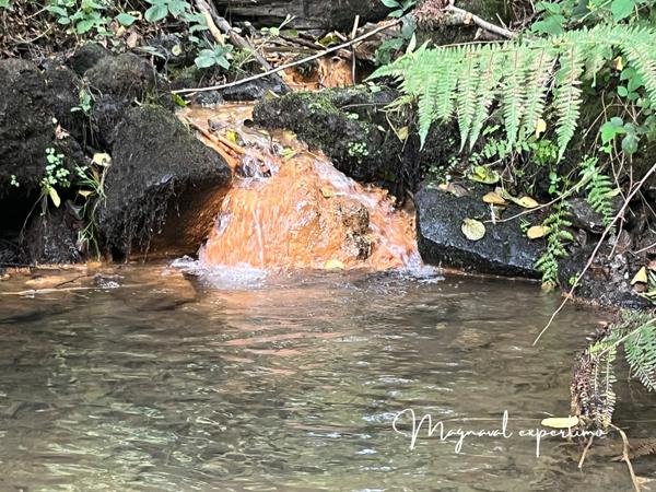 Montredon-Labessonnié (81360) Ferme authentique de 51 hectares au cœur de la nature (Tarn 81)