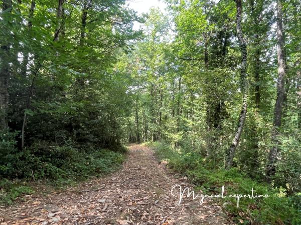 Montredon-Labessonnié (81360) Ferme authentique de 51 hectares au cœur de la nature (Tarn 81)