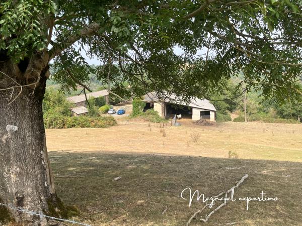 Montredon-Labessonnié (81360) Ferme authentique de 51 hectares au cœur de la nature (Tarn 81)