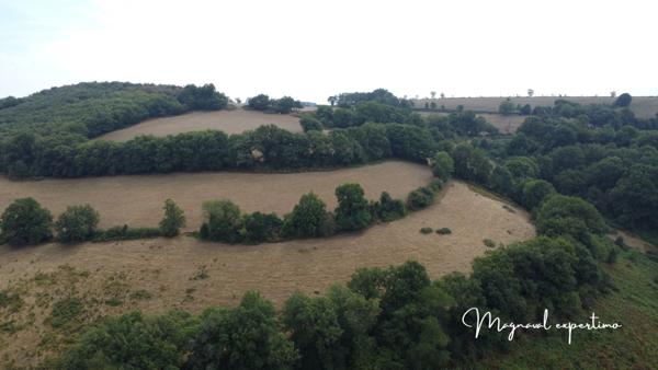 Montredon-Labessonnié (81360) Ferme authentique de 51 hectares au cœur de la nature (Tarn 81)