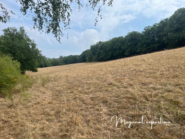 Montredon-Labessonnié (81360) Ferme authentique de 51 hectares au cœur de la nature (Tarn 81)