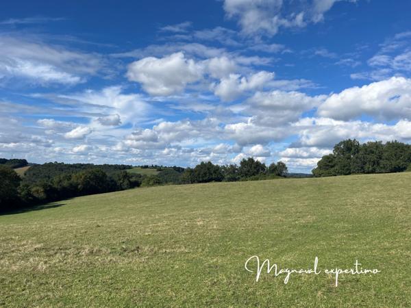 Montredon-Labessonnié (81360) Ferme authentique de 51 hectares au cœur de la nature (Tarn 81)