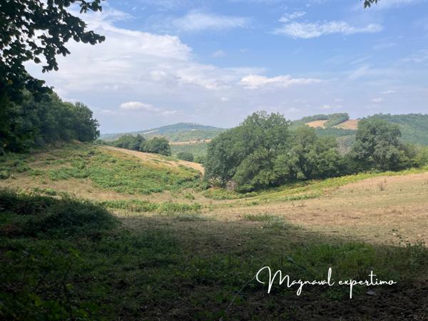 Montredon-Labessonnié (81360) Ferme authentique de 51 hectares au cœur de la nature (Tarn 81)