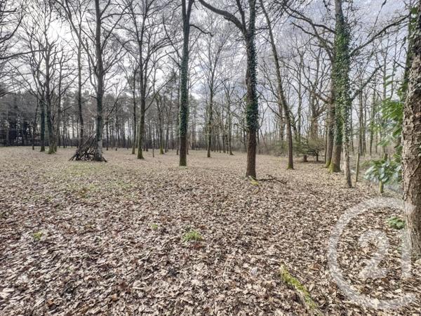 Maison à vendre  1 pièce - 29,01 m2 OLIVET - 45