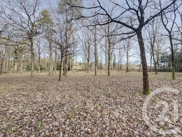 Maison à vendre  1 pièce - 29,01 m2 OLIVET - 45