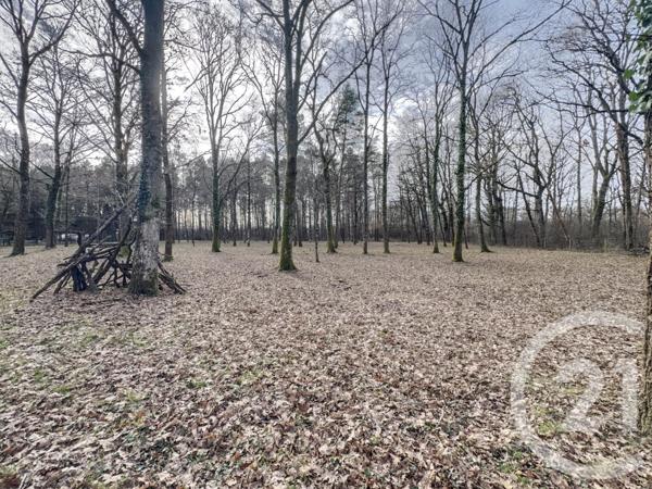 Maison à vendre  1 pièce - 29,01 m2 OLIVET - 45