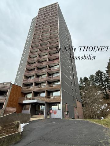 Besse-et-Saint-Anastaise (63610) Dépt.63, SUPER BESSE, STUDIO, 22m2, balcon, local à ski