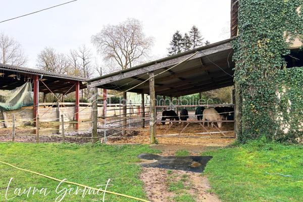 Propriete equestre de 100 m²