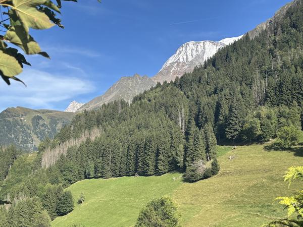 Chalet à vendre à Saint-Gervais-les-Bains (74170) - Haute-Savoie