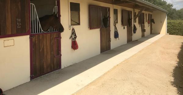 Commerce à vendre à Senonnes (53390) - Mayenne