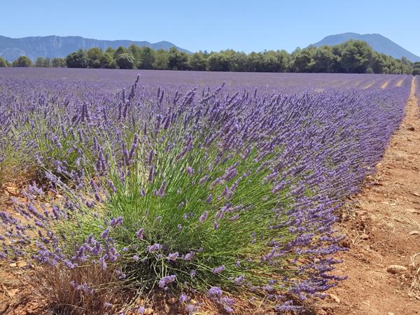 Appartement à vendre à Brignoles (83170) - Var