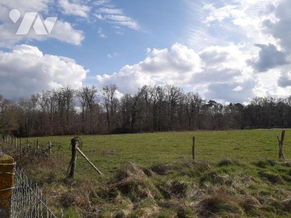CHARMANTE LONGERE AU CALME DANS LA CAMPAGNE DE CONTRES
15 MNS SUD DE BLOIS, 2 mns TOUS COMMERC...