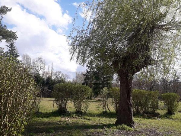 CHARMANTE LONGERE AU CALME DANS LA CAMPAGNE DE CONTRES
15 MNS SUD DE BLOIS, 2 mns TOUS COMMERC...