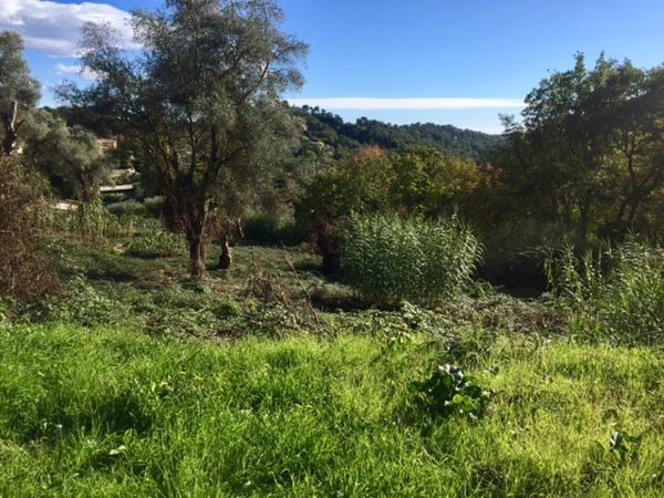 Vence (06140) Rare terrain de plus de 2 hectares Vence Sud