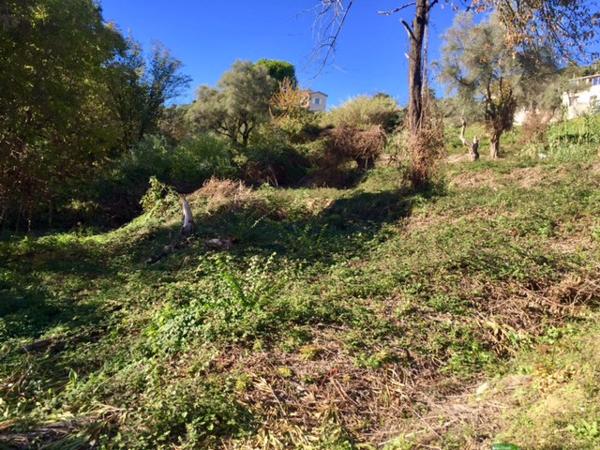 Vence (06140) Rare terrain de plus de 2 hectares Vence Sud